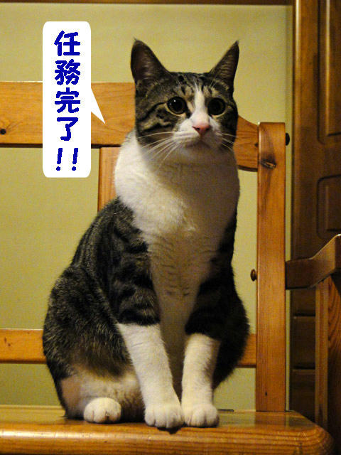 任務完了!