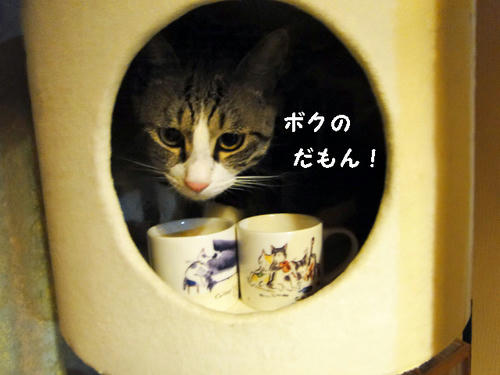 ボクのだもん!