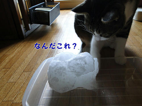 何だ これ?