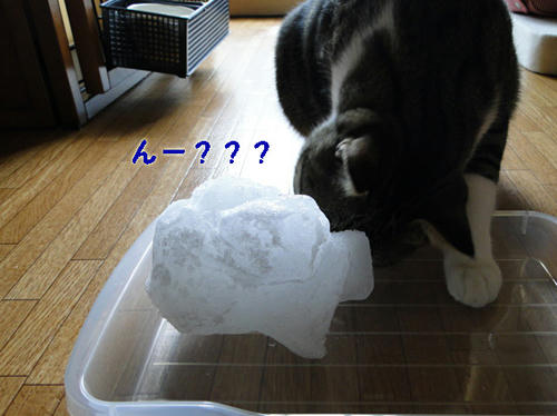 んーー?