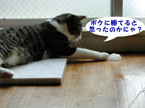 ボクに勝てると思ったの?