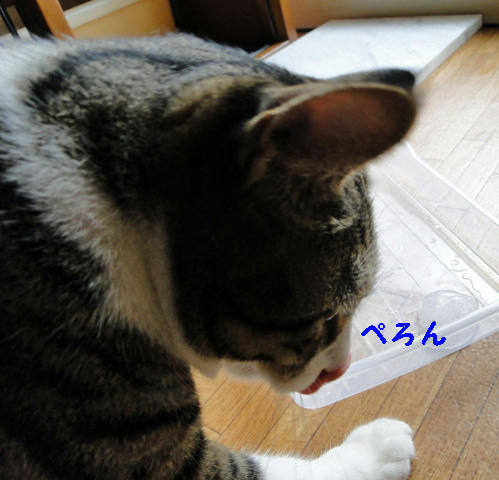 ぺろん