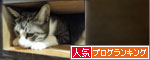 人気ブログランキング（猫ブログ）へ