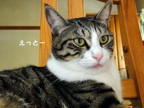 えっとー・・・