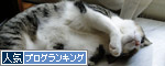 人気ブログランキング(猫ブログ)へ