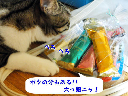 ボクの分も有る!