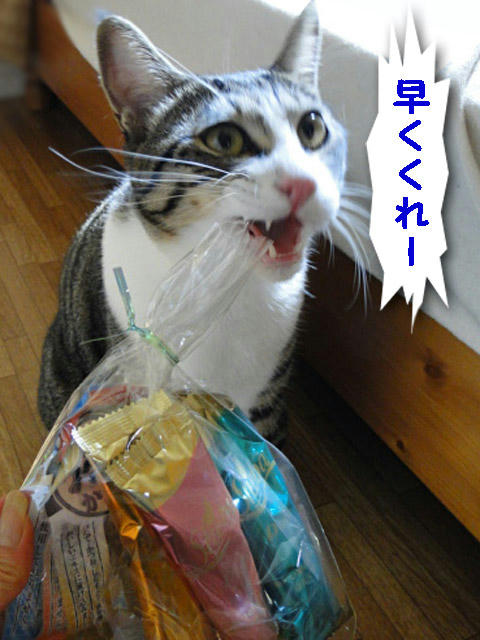 早くくれ!