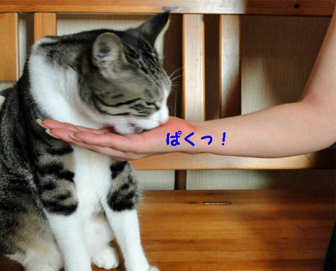ぱくっ!