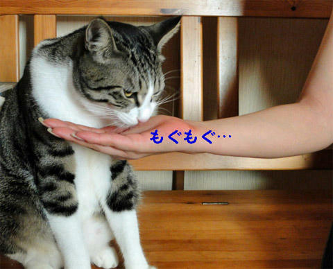 もぐもぐ