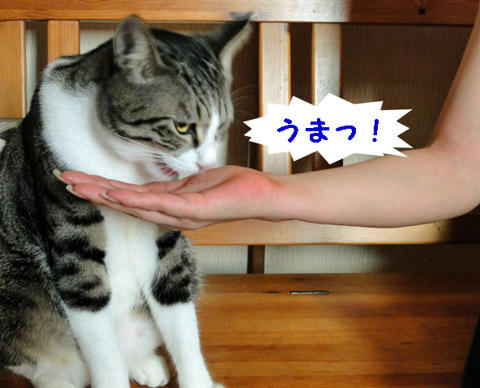 うまいっ!