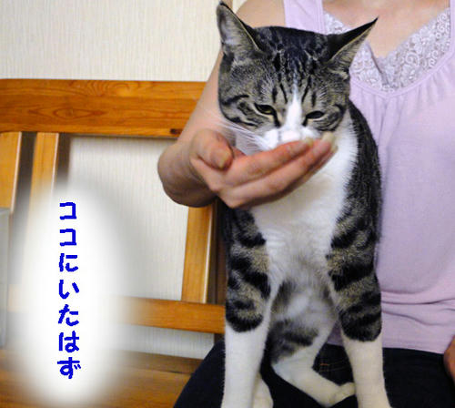 動きすぎ