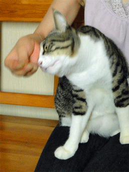 すりすり