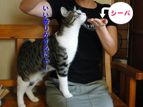 いい香りにゃ~