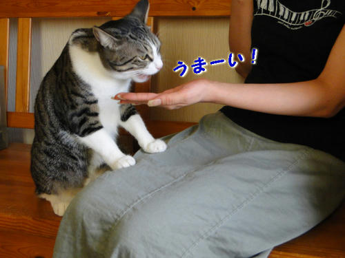 うまーい!