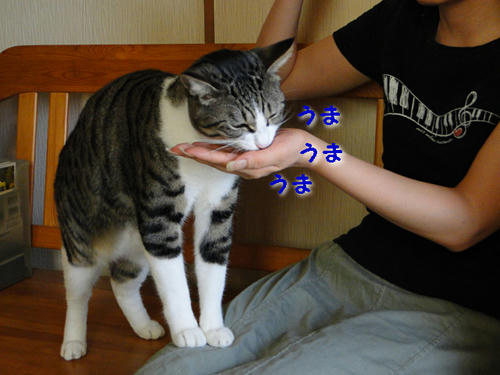 うま♪うま♪