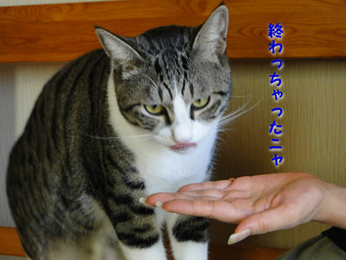 一気に完食!