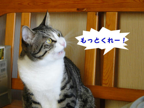 もっとくれー!