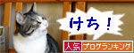 人気ブログランキング(猫ブログ)へ