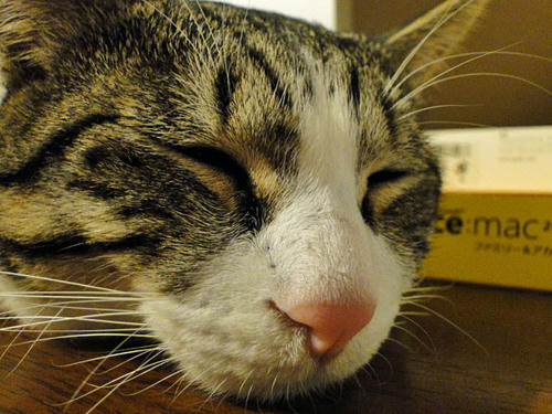 Zzzz...