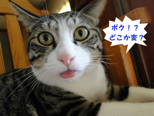 え!?ボクですか?