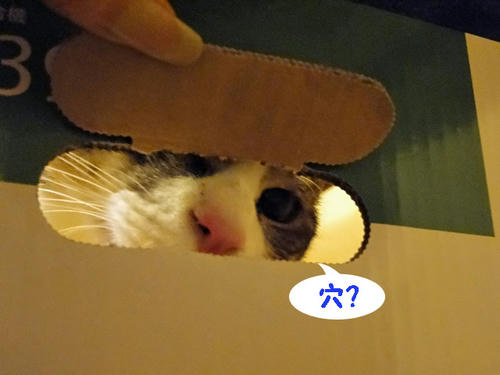 穴ねぇ・・・