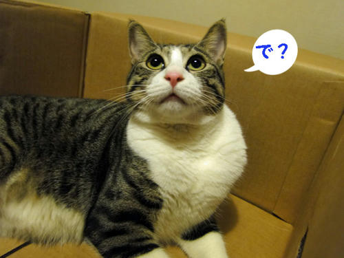 で?