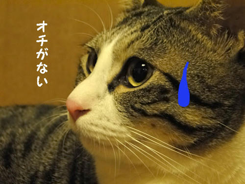 オチがない・・・