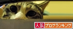 人気ブログランキング(猫ブログ)へ