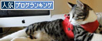 人気ブログランキング(猫ブログ)へ