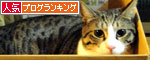 人気ブログランキング（猫ブログ）へ