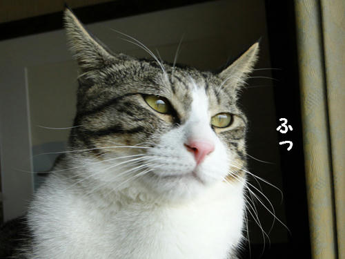 ふっ
