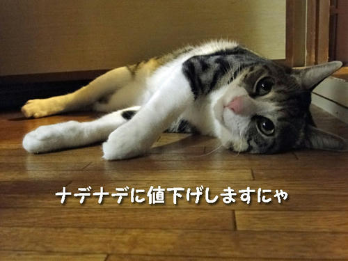 ナデナデに値下げしますにゃ