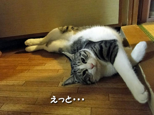 えっと・・・