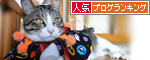人気ブログランキング(猫ブログ)へ