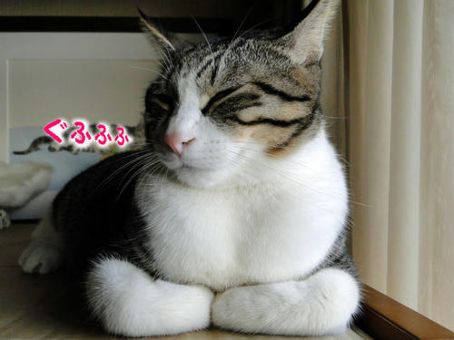 ぐふふ