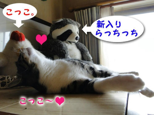 メンバー紹介