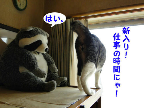 仕事始めるにゃ!