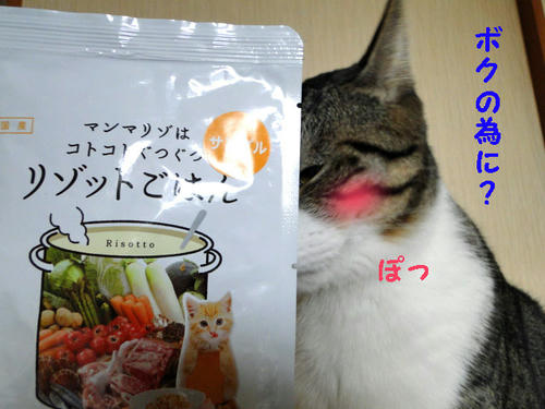 ボクの為に?