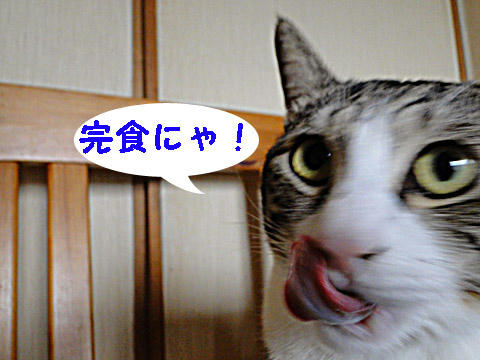 完食にゃ!