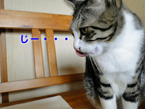じー・・・