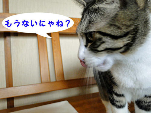 もうないにゃね?