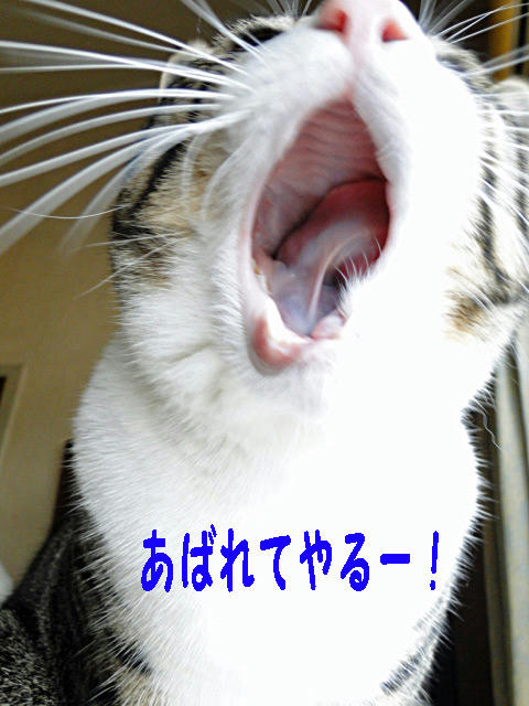 暴れてやるー!