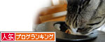 人気ブログランキング(猫ブログ)へ