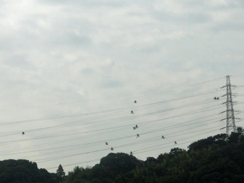 謎の集団