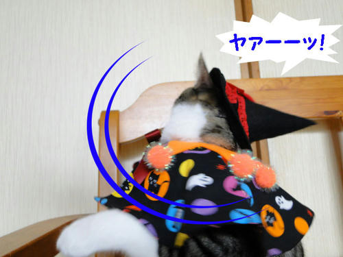 やぁー!