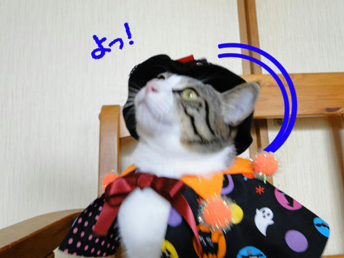 よっ!
