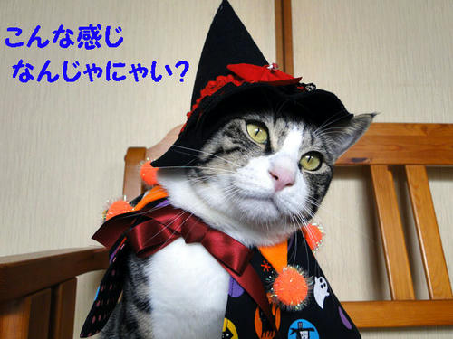 こんな感じじゃない?
