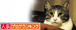 人気ブログランキング（猫ブログ）へ