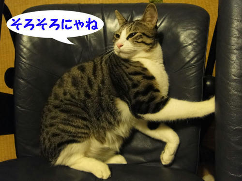 そろそろにゃね