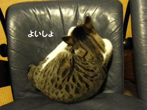 よいしょ。